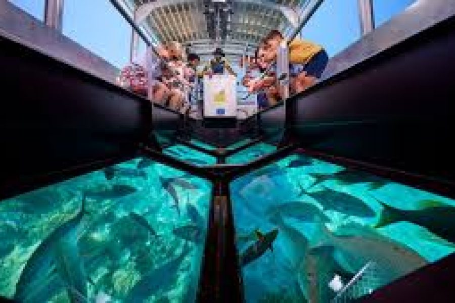 Glass bottom Boat