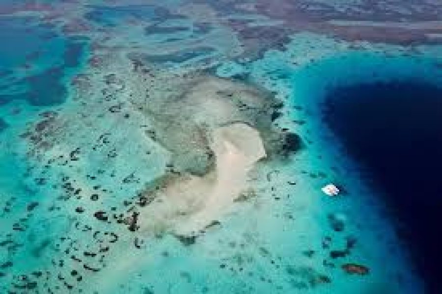 Ras Mohamed & White Island ( by boat )