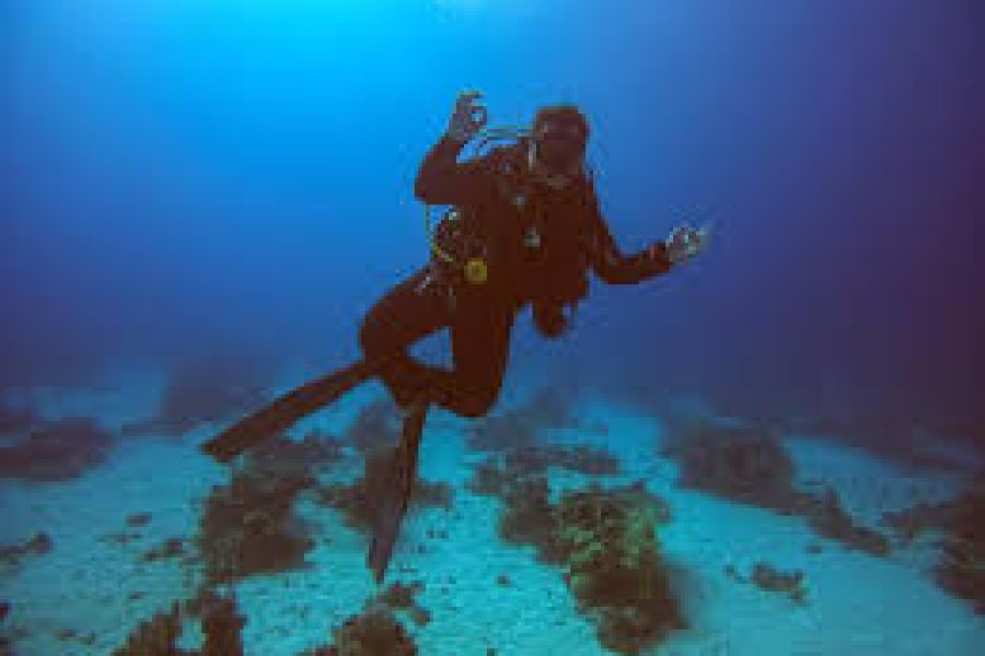 Diving programs